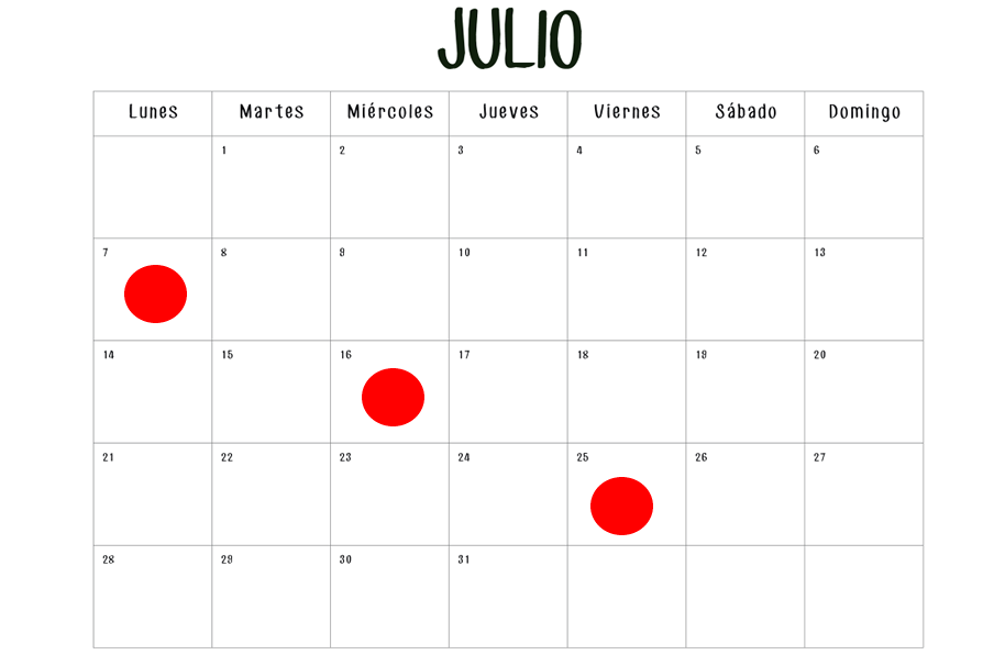 días de turno