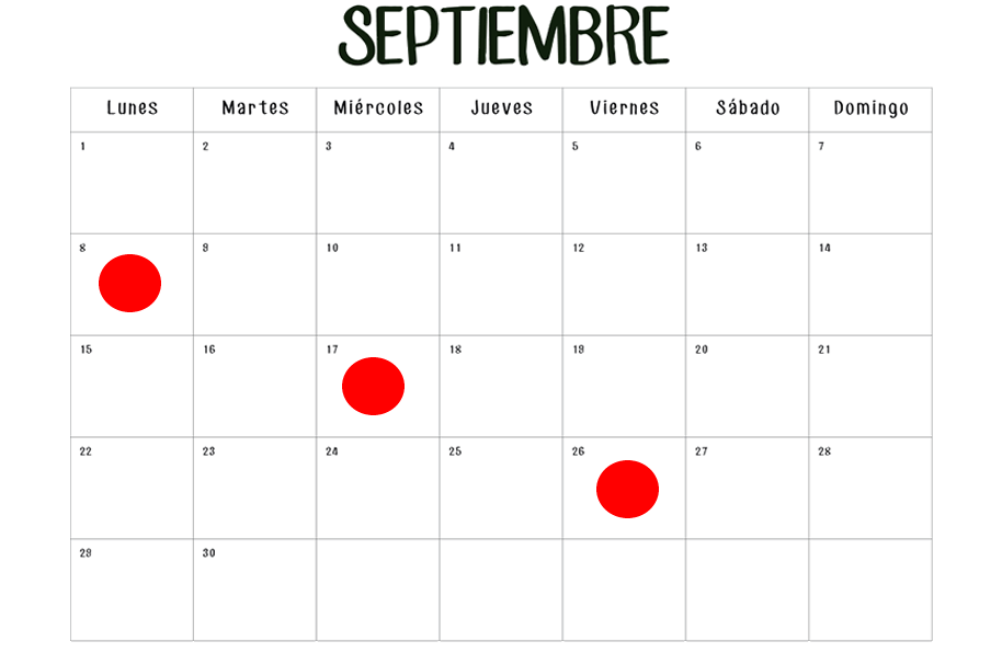 días de turno